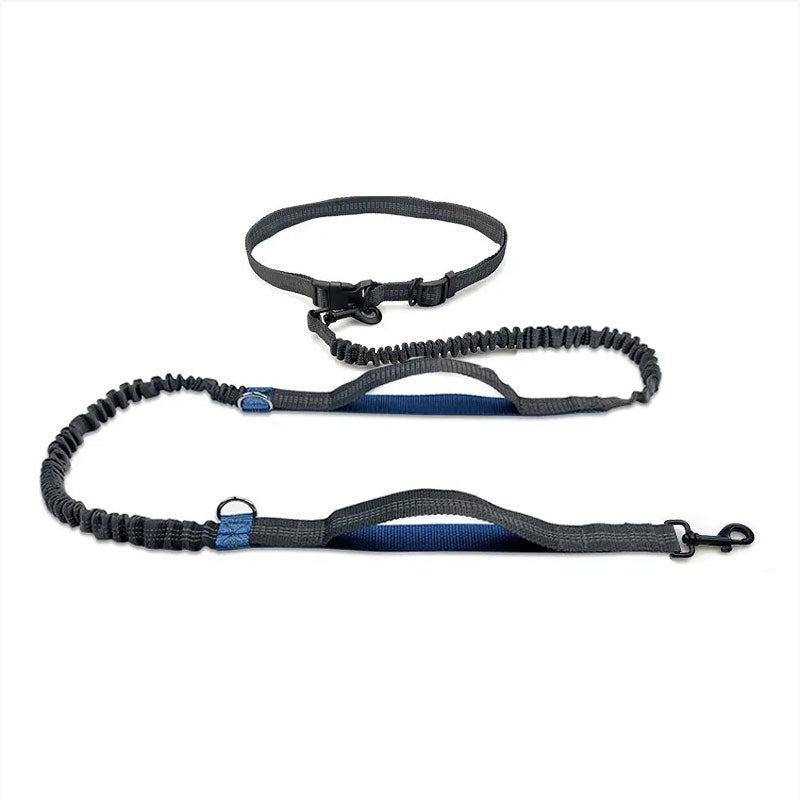 Shop for Dog Hands-Free Leash Blue/Black – K9 Escapade