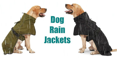 Embrace Rainy Adventures with the Ultimate Dog Rain Jacket