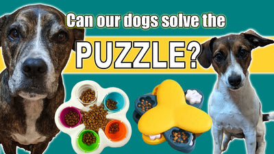 Challenge Accepted: Watch Echo and Skye Master Dog Treat Puzzles