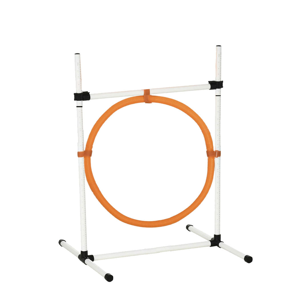 Dog Agility Beginner Sets- Hoop, Poles, & Bar Jump