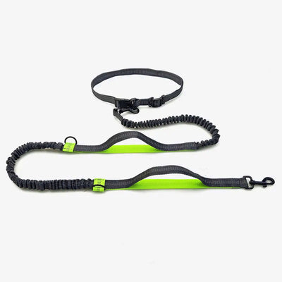 grey and lime green hand free leash for running