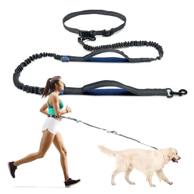 A greyish black hands free running leash with blue accents