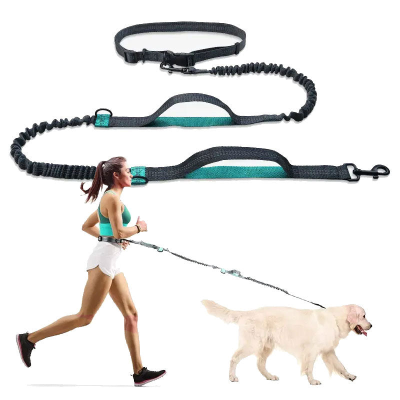 a lady running her dog with a hands free lead