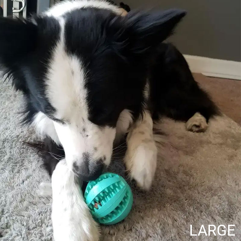 Small Blue Teeth Cleaning Ball From K9 Escapade