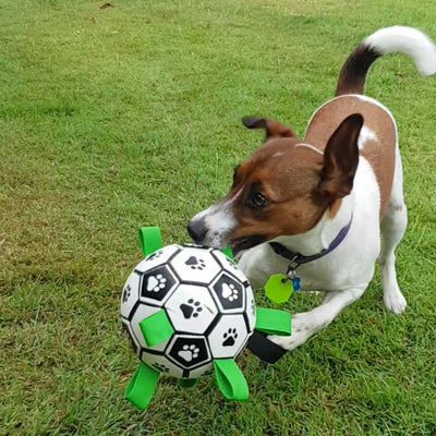 Buy Dog Soccer Ball with Tabs - The Ultimate Dog Toy – K9 Escapade