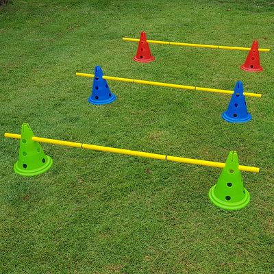 Colourful Dog Agility Hurdles on the grass